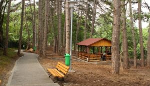 Read more about the article Pădure-parc la Priseaca, o propunere a Asociației Târgoviștea Restaurată. Ce părere aveți?