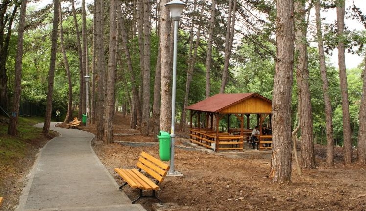 You are currently viewing Pădure-parc la Priseaca, o propunere a Asociației Târgoviștea Restaurată. Ce părere aveți?