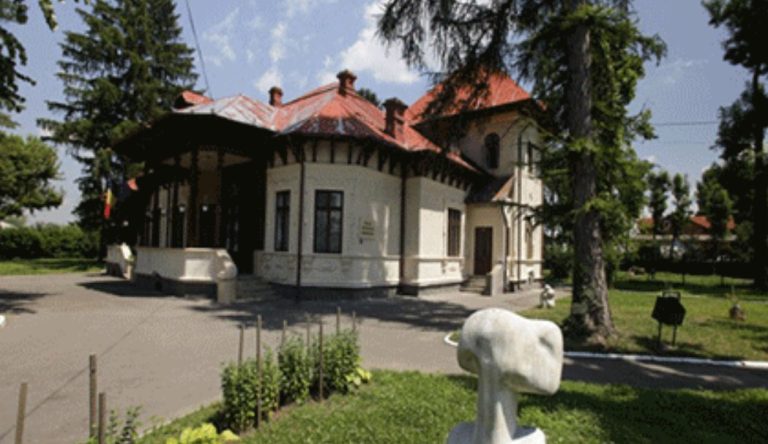 Read more about the article Muzeul Scriitorilor a fost colțul de rai al lui Ioan A. Brătescu Voinești