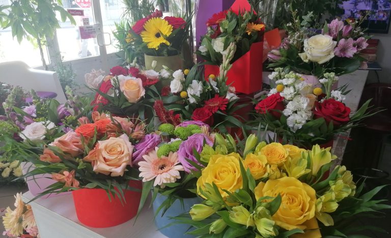 Read more about the article Ce flori dăruiesc târgoviștenii în prima zi de școală?