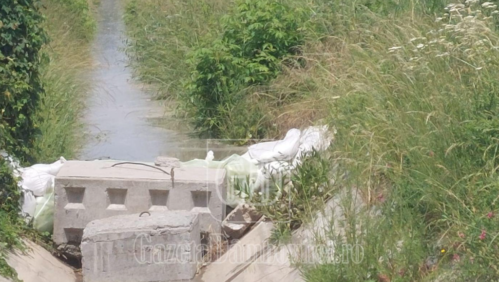 TÂRGOVIȘTE: S-a reluat alimentarea canalului de irigații colmatat de mâlul din barajul Pucioasa (VIDEO)