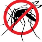 Dezinsecție pe domeniul public în Târgoviște, în perioada 01 – 10.06.2026