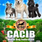 Weekend dedicat iubitorilor de animale în Târgoviște: Expoziție internațională de câini și Târg de adopții în Parcul Chindia