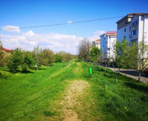 Read more about the article Undă verde pentru „Valorificarea și amenajarea peisagistică a șanțului și a valului cetății” din Târgoviște: O investiție de aproape 35 de milioane de lei