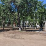 Târgoviște primește un nou parc: zona din fața gării, transformată într-un spațiu verde modern pentru toți locuitorii